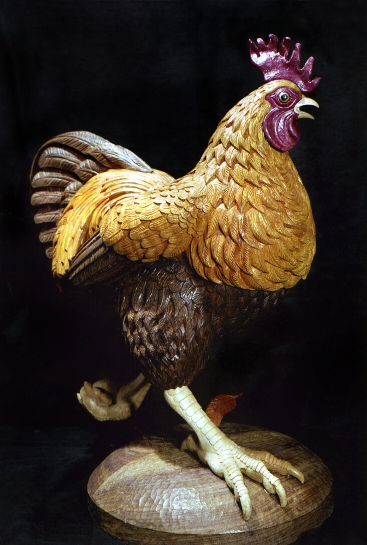 Cockerel