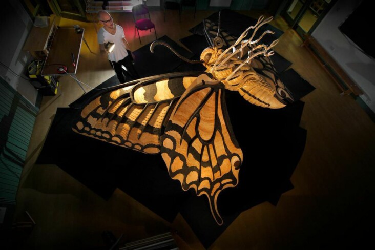 Swallowtail butterfly