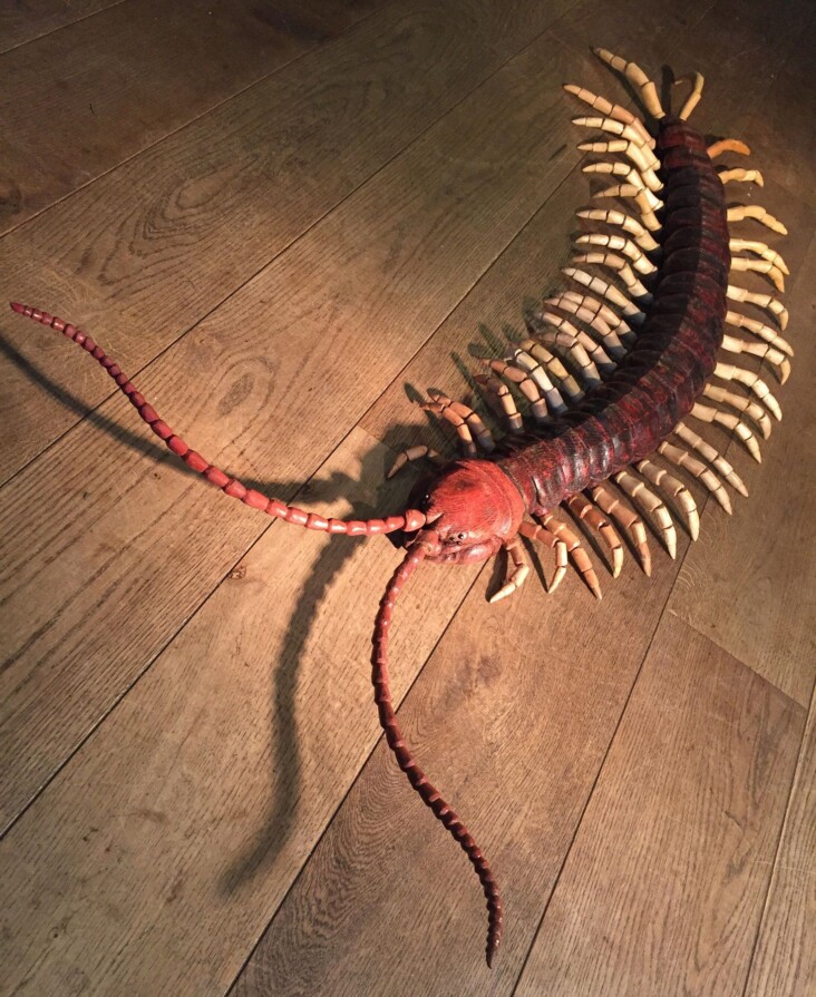 Centipede