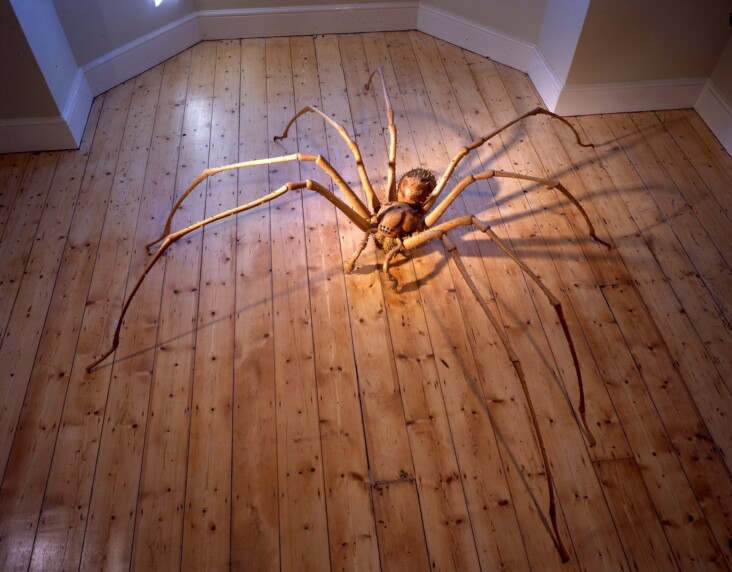 Spider